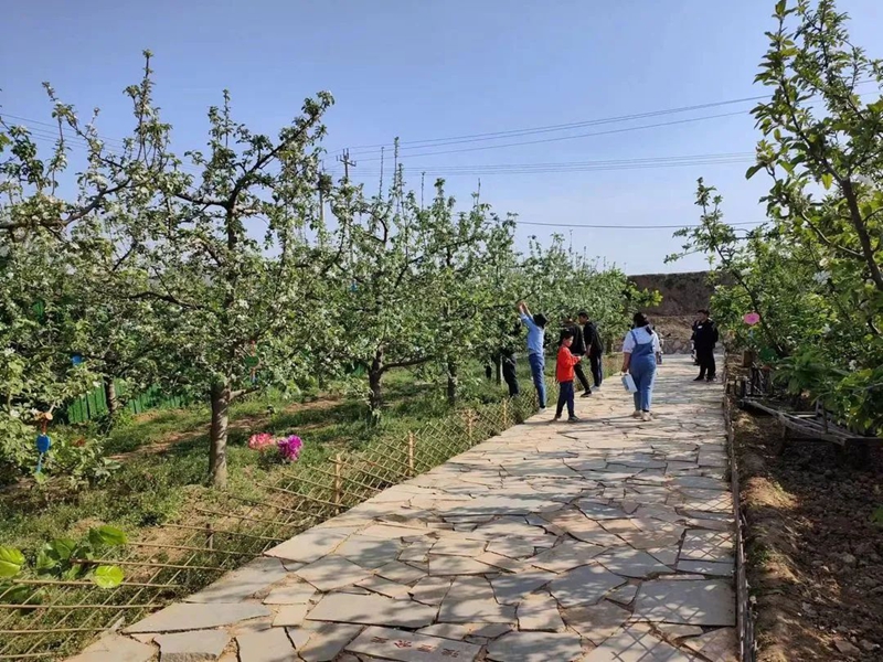 劳模代表调研冀农珍果庄园，喜逢盛大开业与游客同乐(图1)